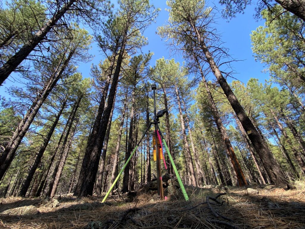 A Team Professional Associates survey equipment set up in a Northern Arizona pine forest during a USDA forestry surveying project. Photo by Nathan Robinson.